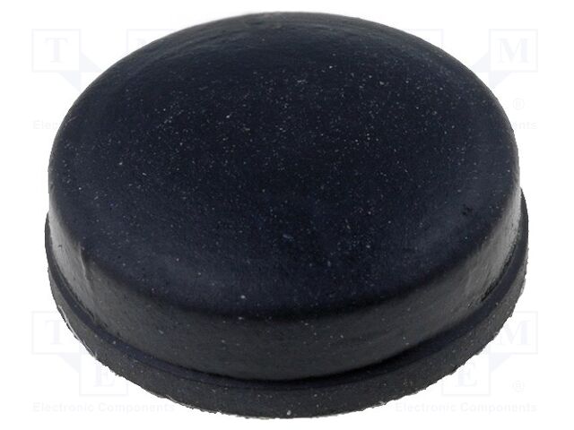 RF-004