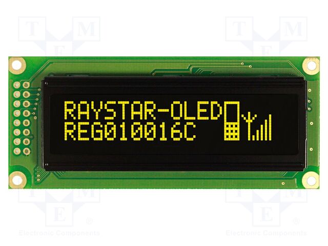 REG010016CYPP5N00000