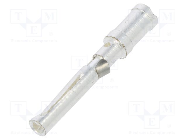 T2020002025-000