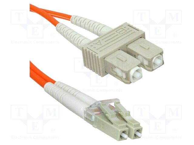 SCLC-6DTP050