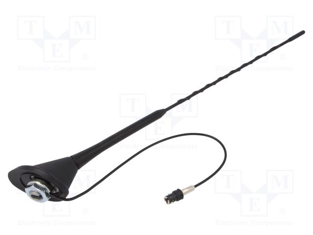 ANT.54