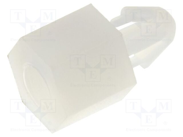 FIX-MAE-5TV