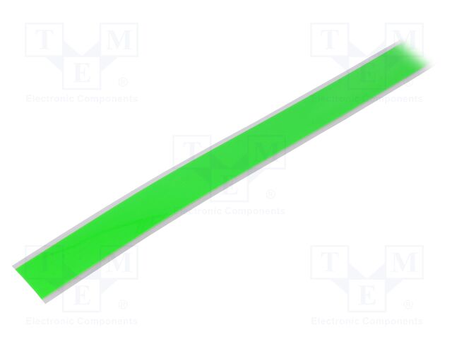 0100 INT EXTREME GREEN