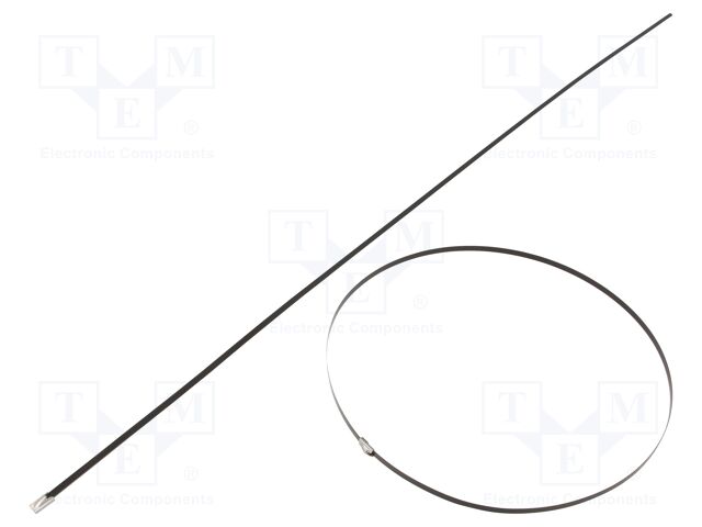 BMSC6845
