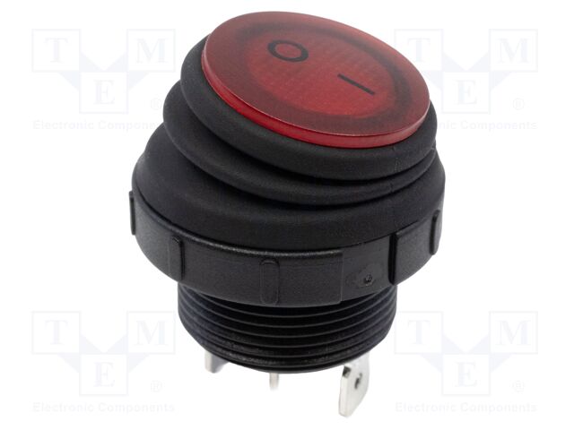 RRS20F1ABLKREDBLK31P