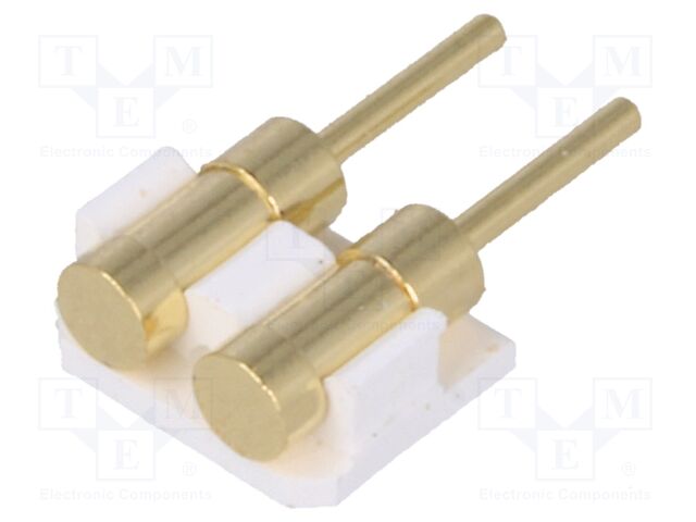 DS1137-01-02MW8R