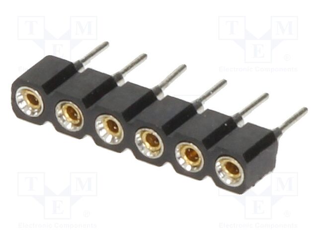 DS1002-01-1*6V13