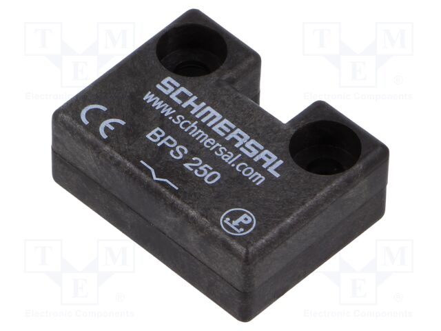 BPS 250
