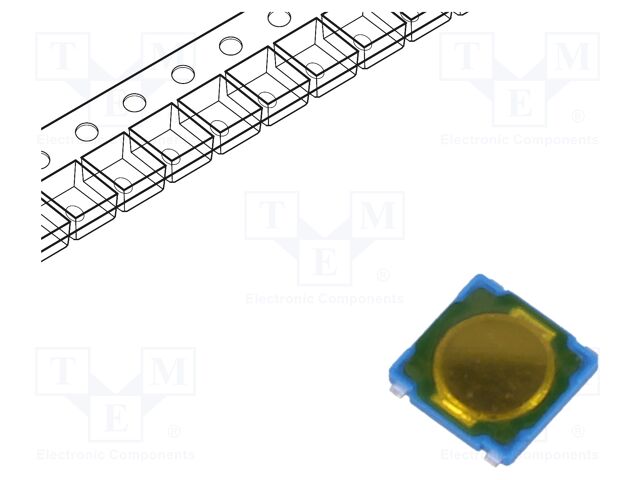 PTS530GM055SMTR LFS
