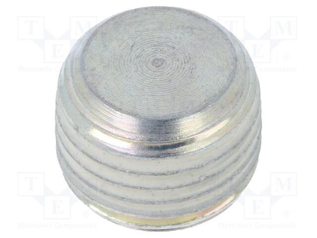 DIN 906-ST-R1/4-GPC