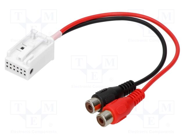 AUX-BMW.05-RCA
