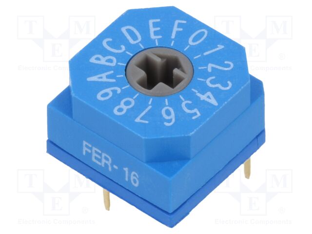 FER-16