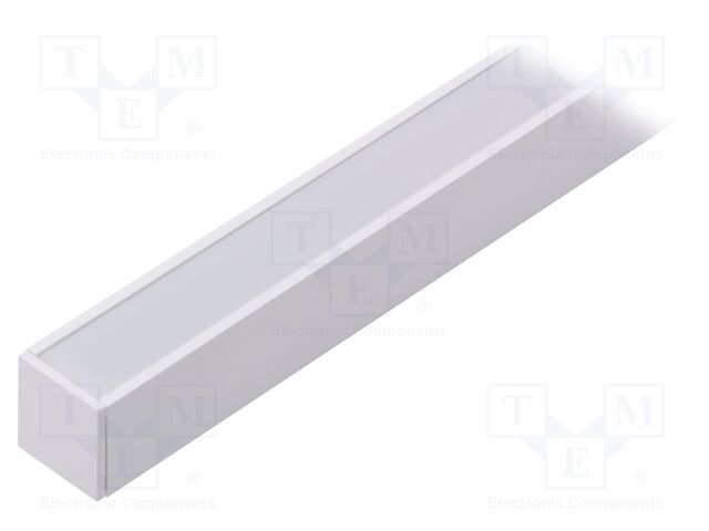 LINEA20 F/Y WH 1M SET STANDARD
