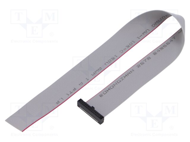 FFSD-13-S-10.00-01-N