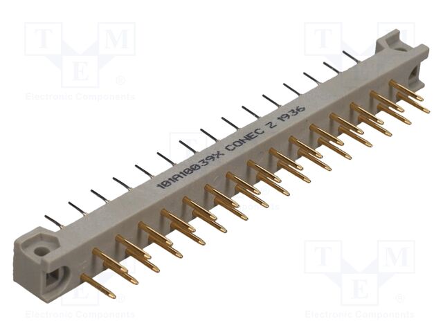 101A10039X