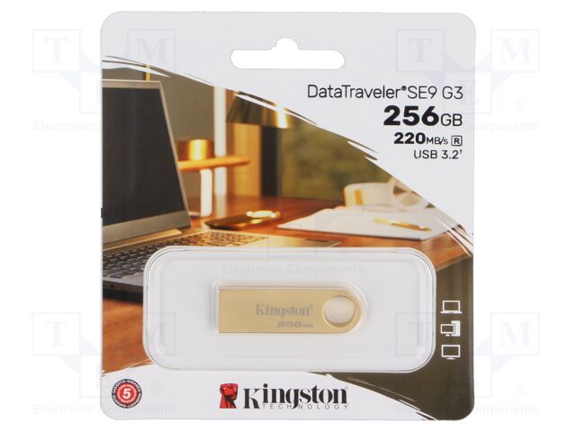 DTSE9G3/256GB