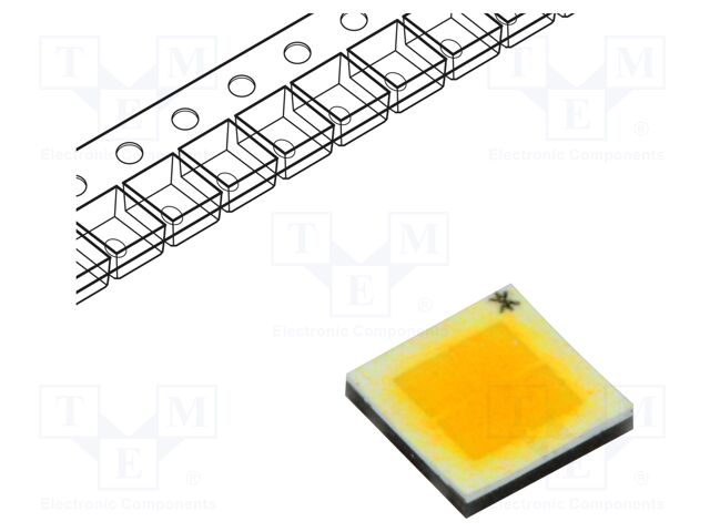 PBLC-10FNE-D4N