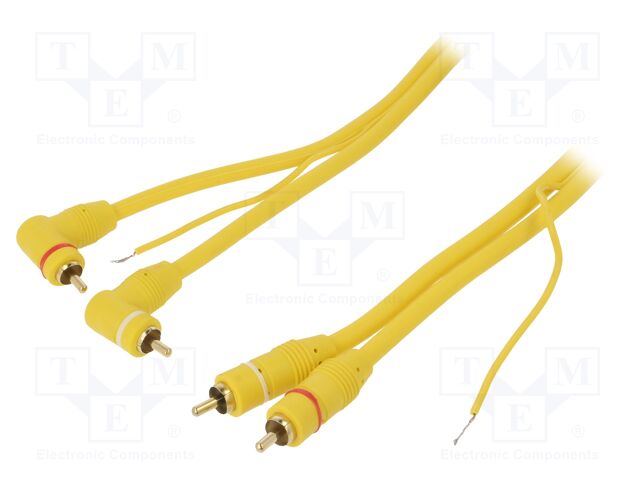 RCA-HQ2.500.1