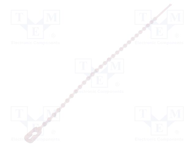 TV120