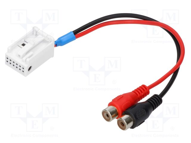 AUX-BMW.04-RCA