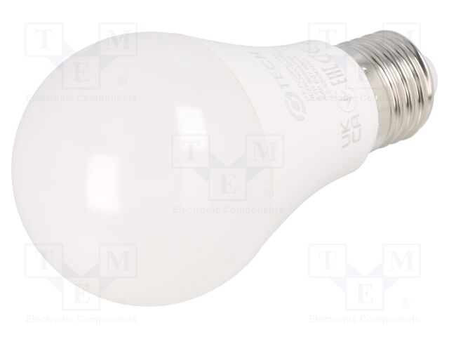 GT-PZ2A60-10W