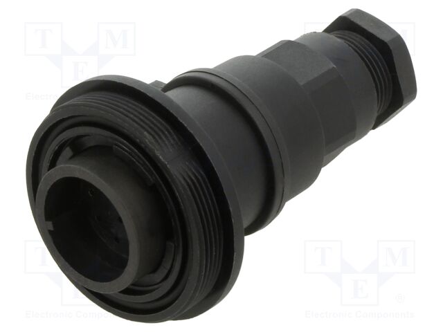 PXV0795/P