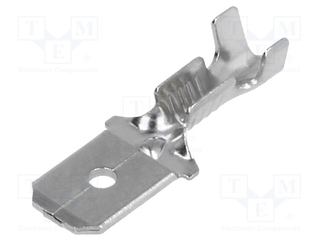 BM 01181