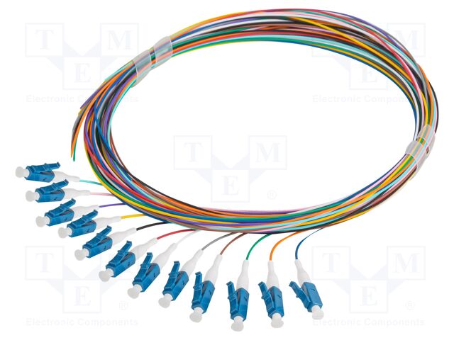 FP-LCUP-SS21-1202-MC
