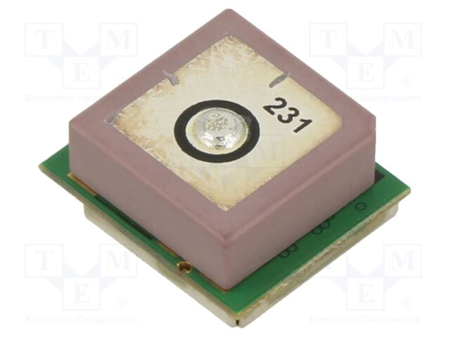 YIC31513PGMGG