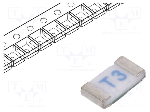 0685T3000-01