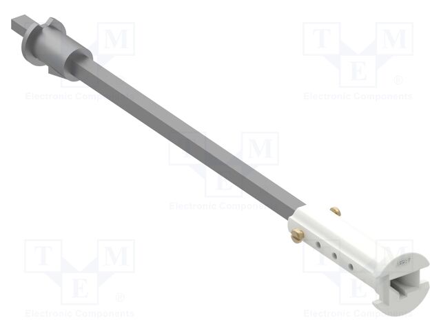 VZN17