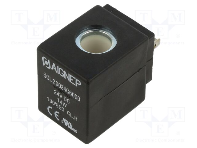 FLSOL20024C6000