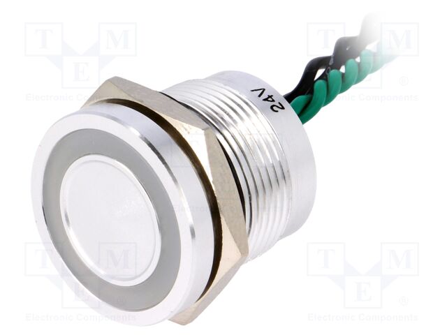 PS193P10YNT1G24VL