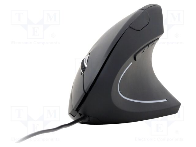 MUS-ERGO-01