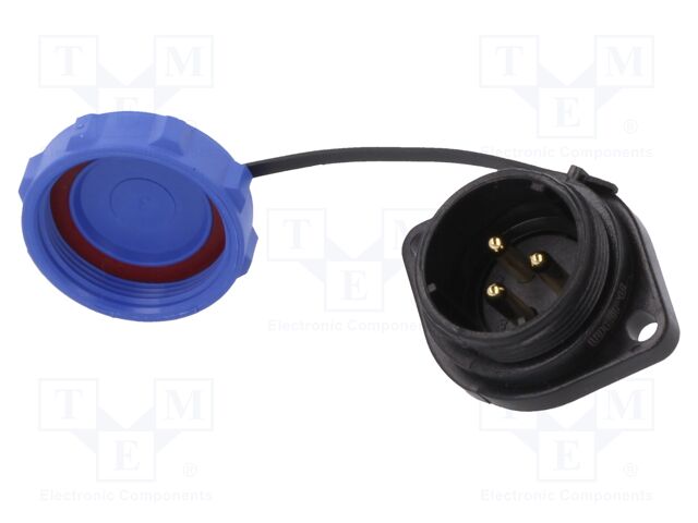 SP2113/P3-1C