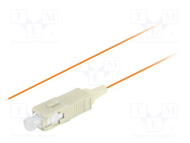 FP-SCUP-MS21-0020-OG