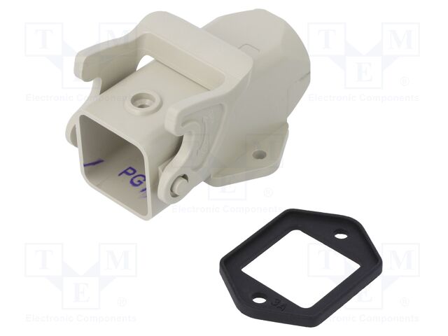 D3A.P-SF-1L-PG11