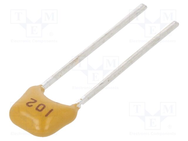 CT40805B102K101F1R