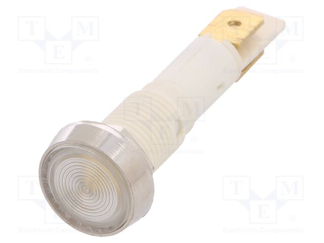 IND10P-12W-C