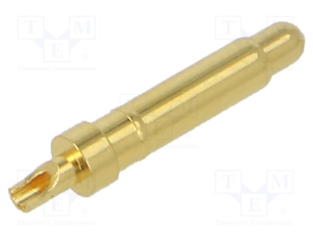101210125