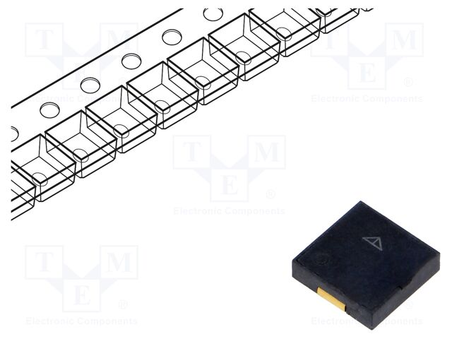 PT91-120320LMR