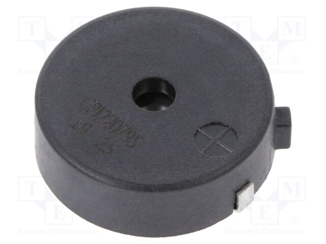 CPI-2207-95-SMT-TR