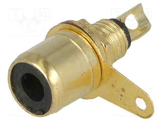 VG03094 GOLD BLACK
