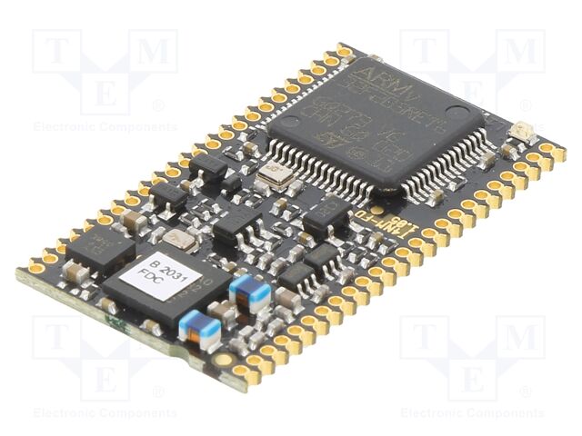 TWN4 MULTITECH NANO MODULE A0