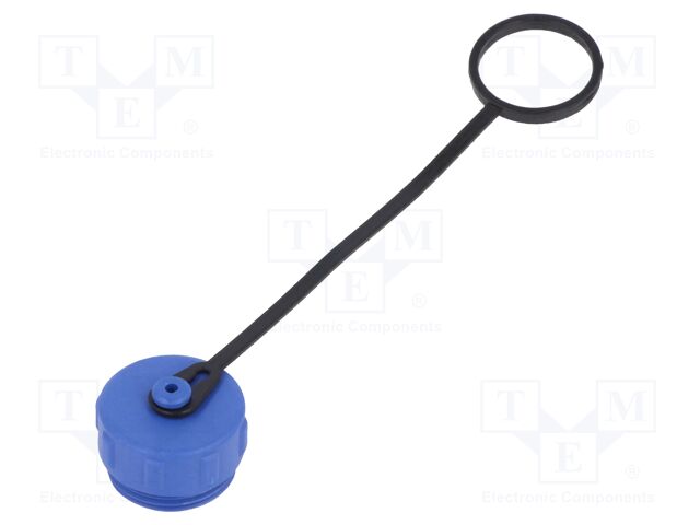 CAP-SP1310I
