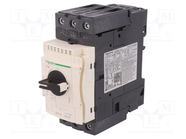 GV3P65